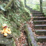 Taking yet another break, only this time its from hiking back up from the falls