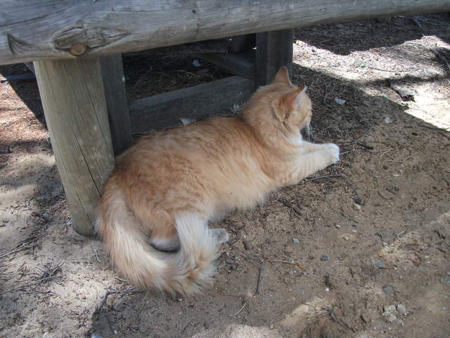 australia2011 220.jpg