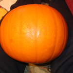 Halloween2004 004.jpg