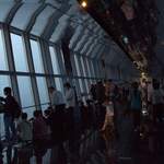 The observation deck
