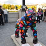 Pattern Gorilla