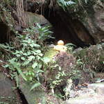 Zippy really loves nature