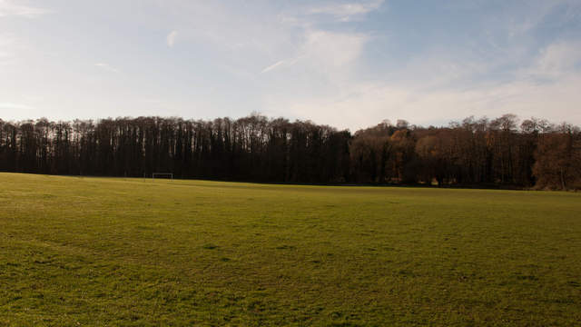 Shalford Park