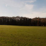 Shalford Park