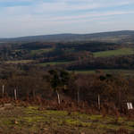 View from St Martha's Hill