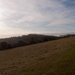 Newlands Corner