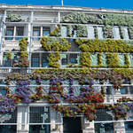 Europe in Bloom, Nyhavn