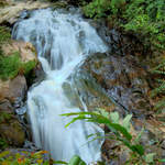 Robinson Falls, Tanah Rata