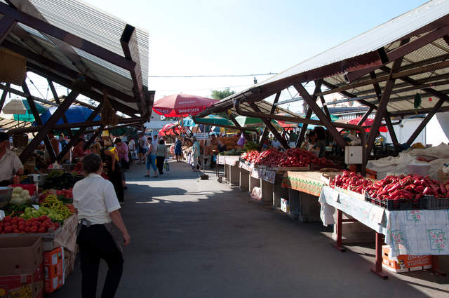 DSC_0414.jpg