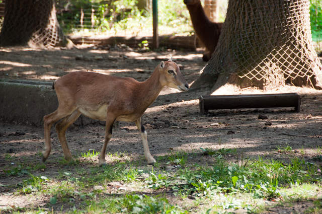 DSC_0430.jpg