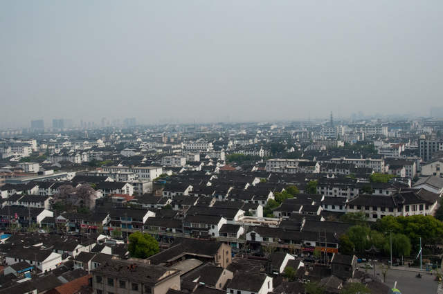 DSC_0137.jpg