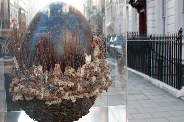 The Big Bang Egg