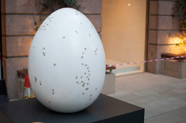Bee Egg
