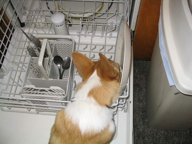 usa2004 026.jpg