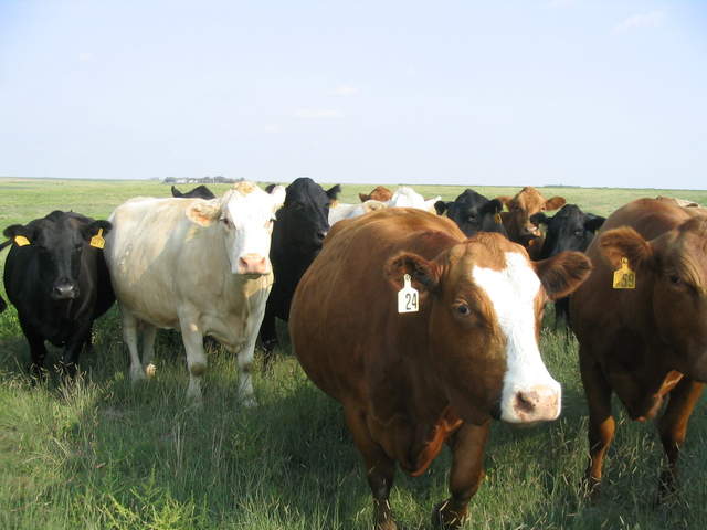 usa2004 040.jpg