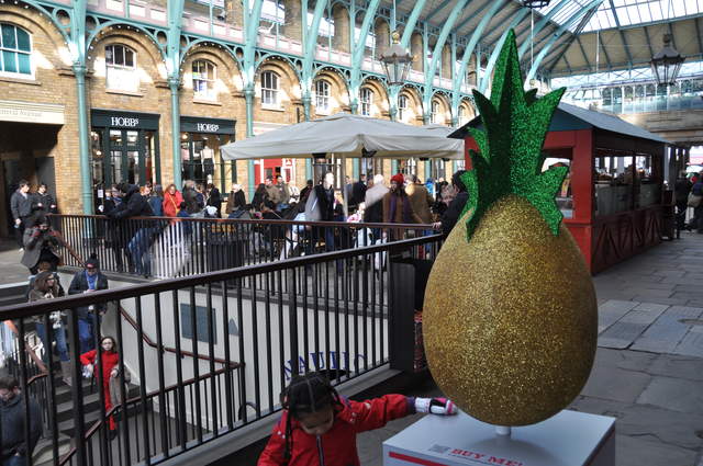 078 - Egg Disguised as a Pineapple