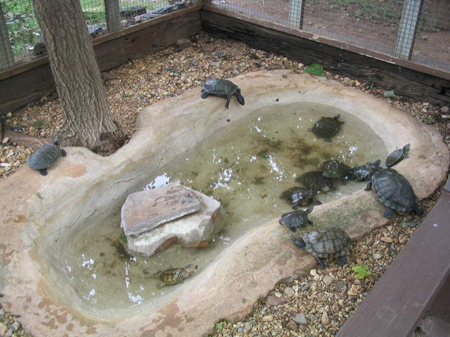 usa2004 066.jpg