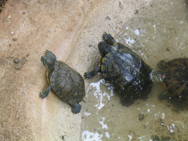usa2004 069.jpg