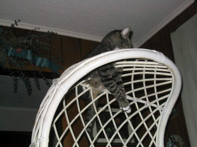 usa2004 071.jpg