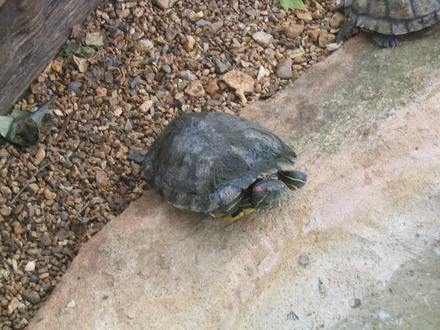 usa2004 072.jpg