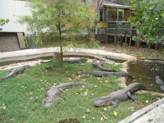 usa2004 074.jpg