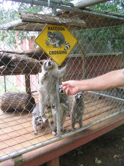 usa2004 077.jpg