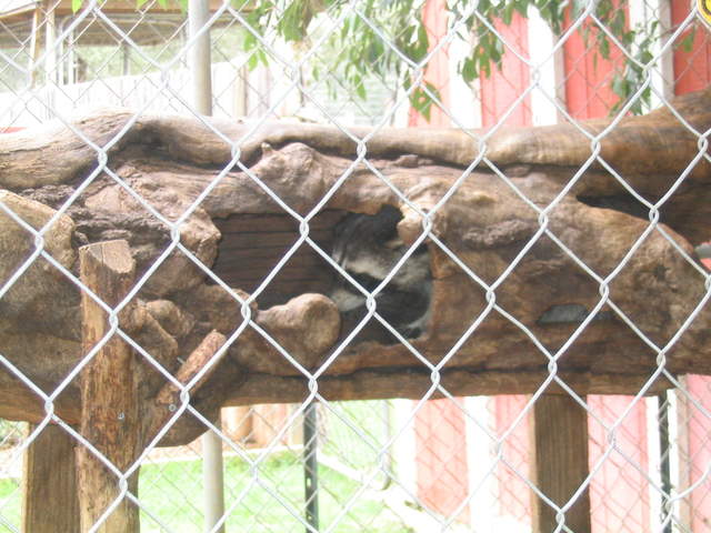 usa2004 078.jpg