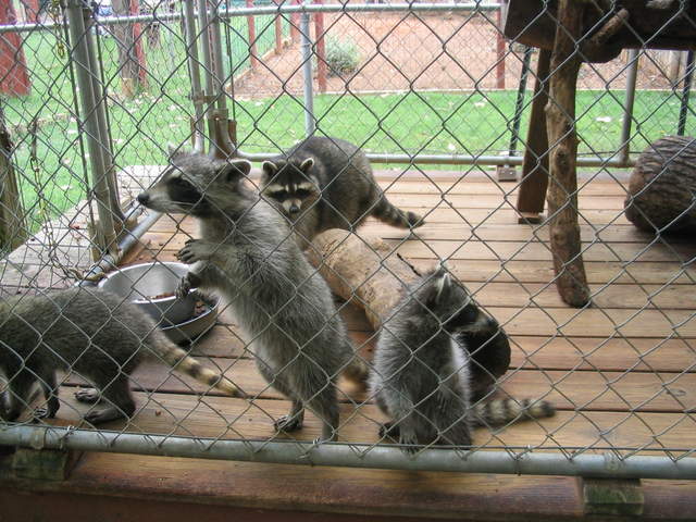 usa2004 079.jpg
