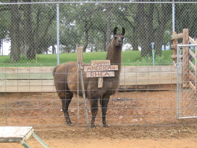 usa2004 084.jpg