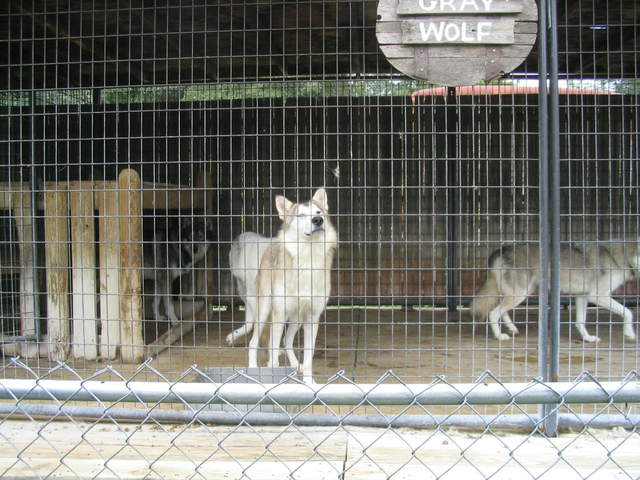 usa2004 089.jpg