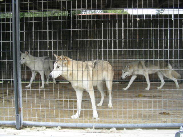 usa2004 090.jpg