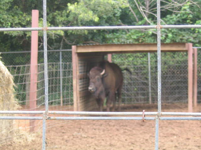usa2004 095.jpg