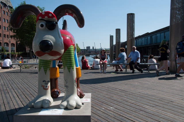Salty-Sea-Dog-2.jpg