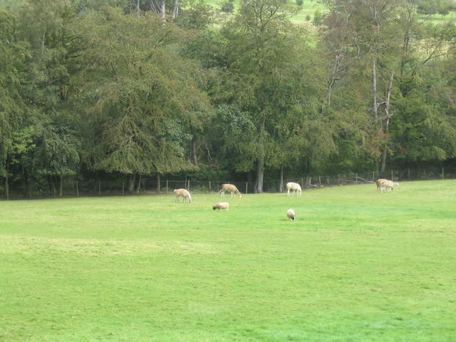 llamafarm 025.jpg