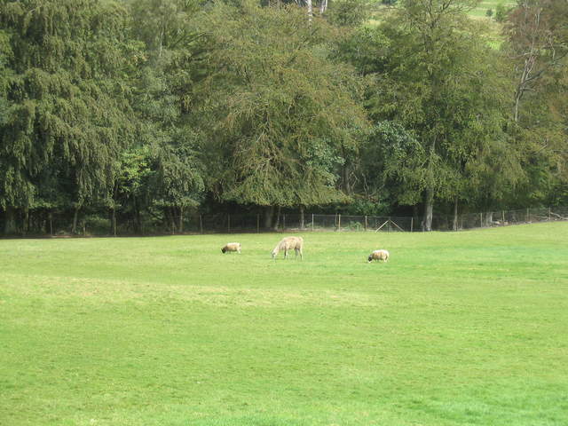 llamafarm 029.jpg