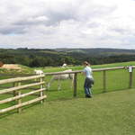 llamafarm 033.jpg