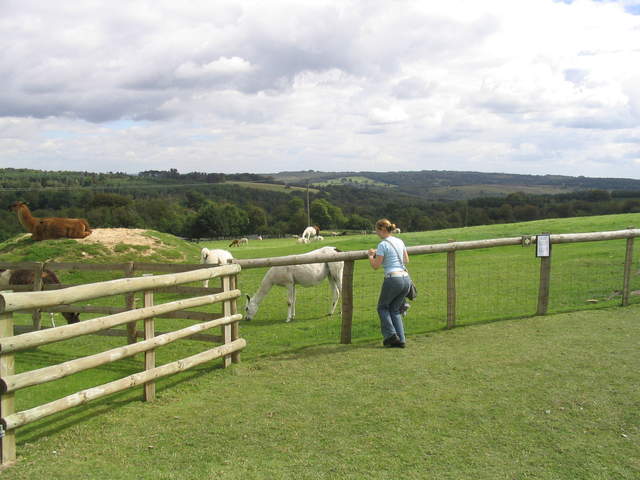 llamafarm 033.jpg