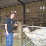 llamafarm 042.jpg