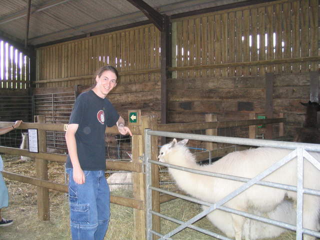 llamafarm 042.jpg