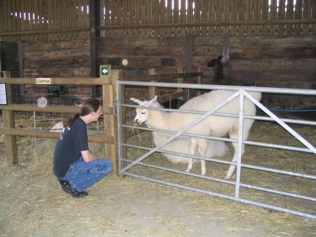 llamafarm 043.jpg