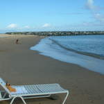 The next day Zippy takes in some sun on the beach of San Juan at his hotel