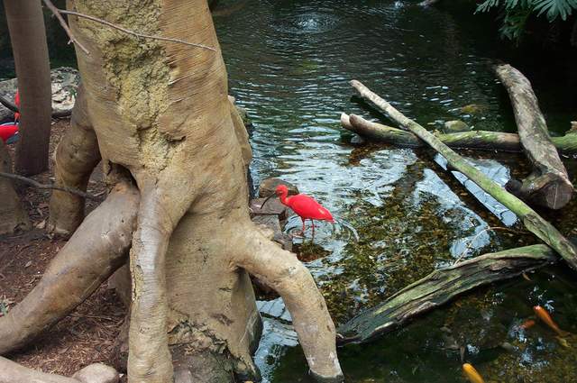 DCP_3410.JPG