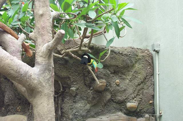 DCP_3412.JPG