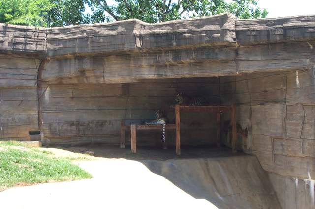 DCP_3417.JPG
