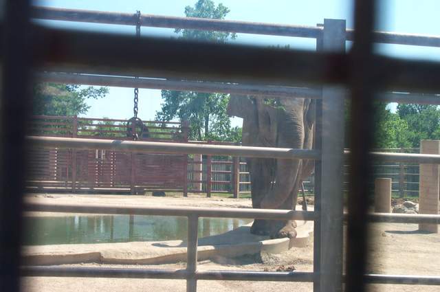 DCP_3478.JPG