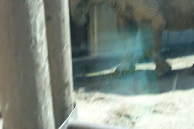 DCP_3480.JPG