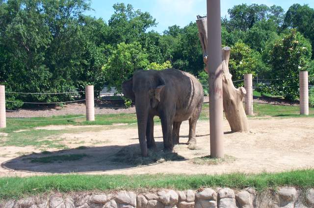DCP_3483.JPG