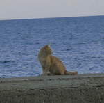 cyprus 026.jpg