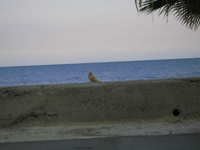 cyprus 026.jpg