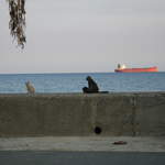 cyprus 027.jpg